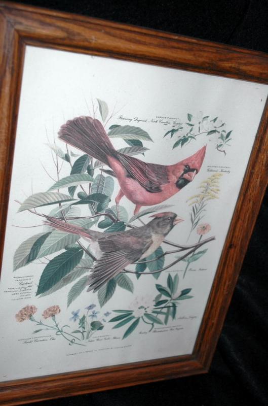 Vintage Framed Arthur Singer Print Birds, Cardinals #1 in the series
