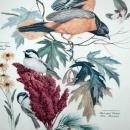 Vintage Framed Arthur Singer Print Birds, Baltimore Oriole #8 in the series