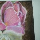 Pastel Painting of Roses, Original Art, Framed behind Glass