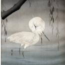 Two Egrets Wading Under a Willow Tree by Watanabe Seitei Wood -Block