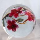 Glass Eye Studio Pink Flowers Paperweight 1985 , signed and numbered