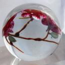 Glass Eye Studio Pink Flowers Paperweight 1985 , signed and numbered
