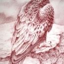 Monotone Painting or Drawing of Hawk signed Shively ( George Shively)