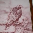 Monotone Painting or Drawing of Hawk signed Shively ( George Shively)