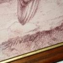 Monotone Painting or Drawing of Hawk signed Shively ( George Shively)