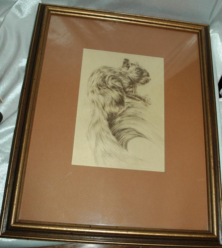 Monotone Drawing Squirrel signed Shively ( George Shively)