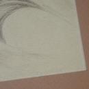 Monotone Drawing Squirrel signed Shively ( George Shively)