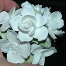 Crown Staffordshire England Fine Bone China White Flower Bouquet in White Pot