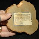 Vintage cholla cactus wood trinket dish souvenir gift of the Grand Canyon Arizona