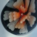 Blown Art Glass Large Flower Drop Pendant