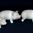 Set of 3 Otagiri Pigs , Family