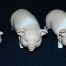 Set of 3 Otagiri Pigs , Family