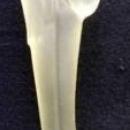 Heisey Genuine Original Frosted Satin Crystal Glass Madonna