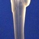 Heisey Genuine Original Frosted Satin Crystal Glass Madonna