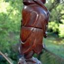 Chinese Immortal Root Wood Carved Table Lamp