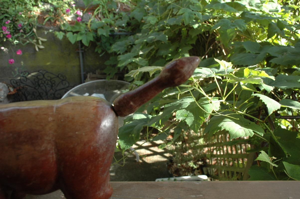 Hand Carved Wooden Bull Old Guatamalan Folk Art Very Large and Solid , Rustic