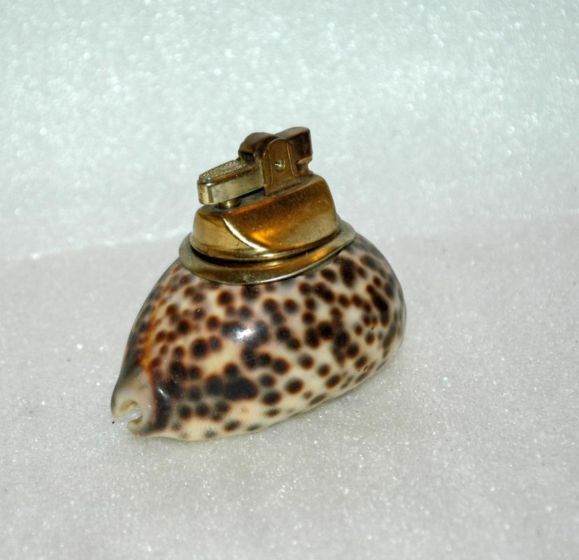Spotted Cowrie Shell Table Lighter Vintage
