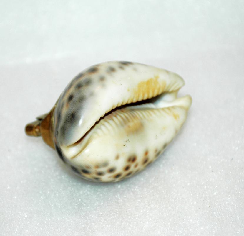 Spotted Cowrie Shell Table Lighter Vintage