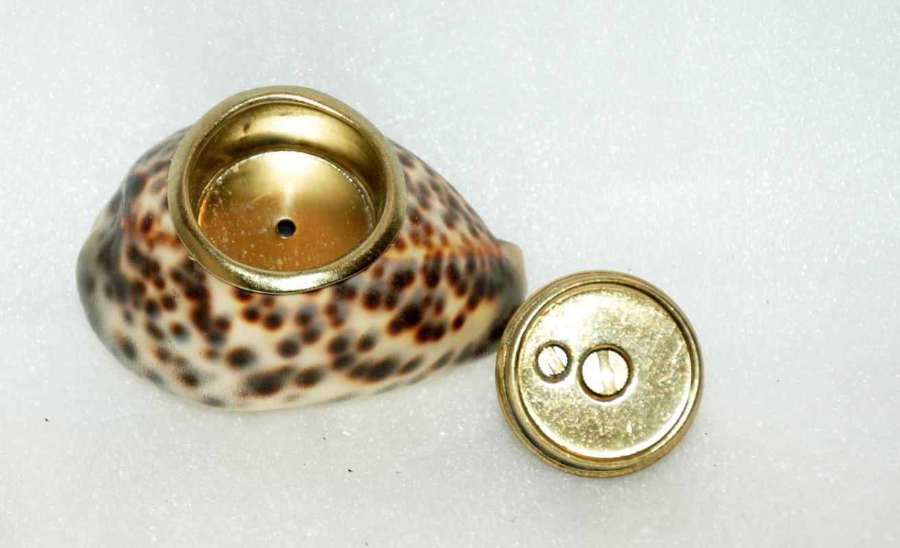 Spotted Cowrie Shell Table Lighter Vintage