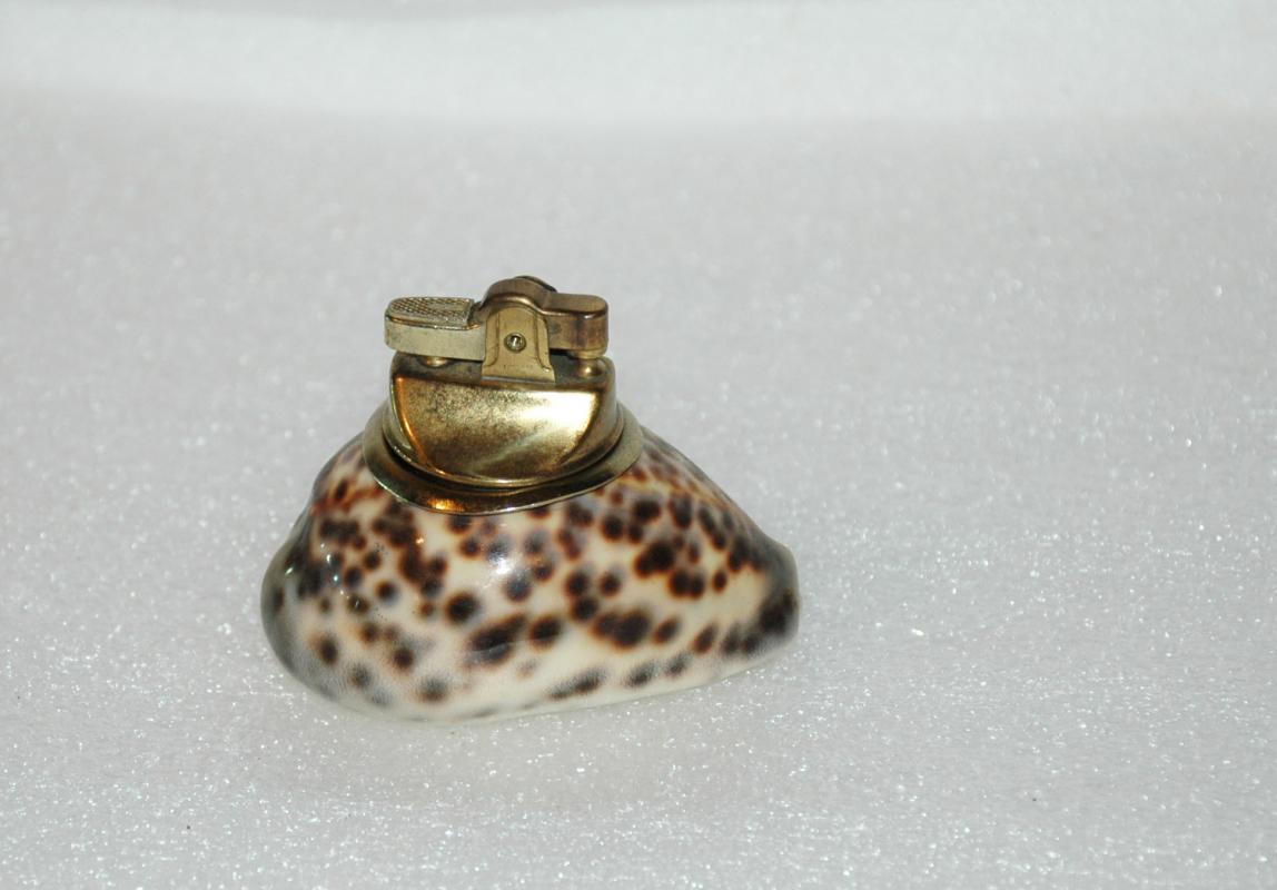 Spotted Cowrie Shell Table Lighter Vintage