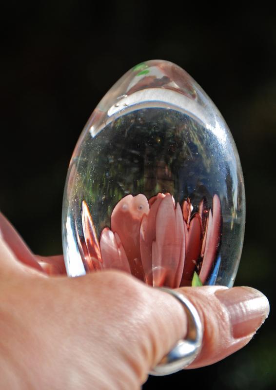 Vintage ART GLASS Egg Paperweight Lily Flower SDS Seapoot Group