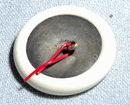 Large Antique Egyptian Silver Button
