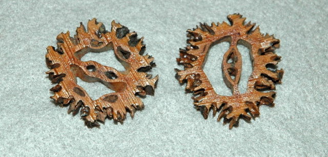 2 interesting Button made from Black Walnut Shells