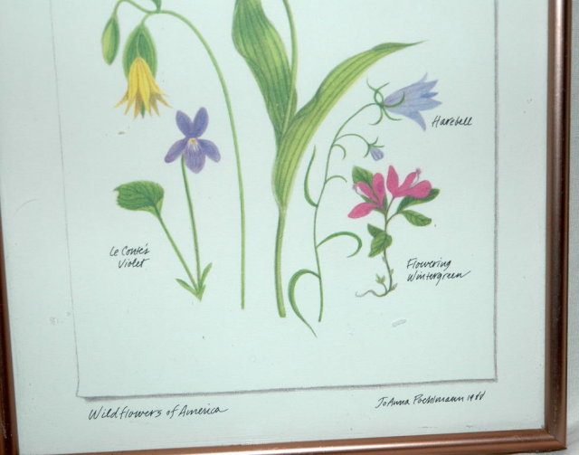 Botanical Wild Flowers of America Print ** PRICE REDUCTION!**