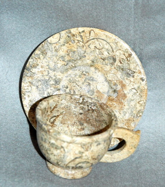 Real Fossil Stone Cup and Saucer * Price Reduction*