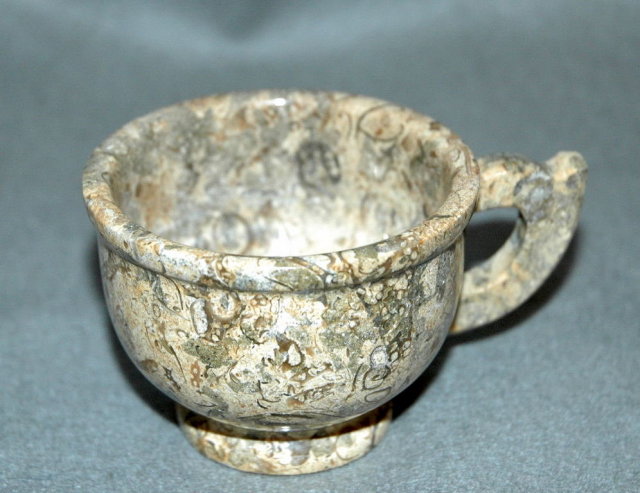 Real Fossil Stone Cup and Saucer * Price Reduction*