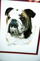 Bull Dog Print, Robert J. May, Matted & Framed * PRICE REDUCED !**