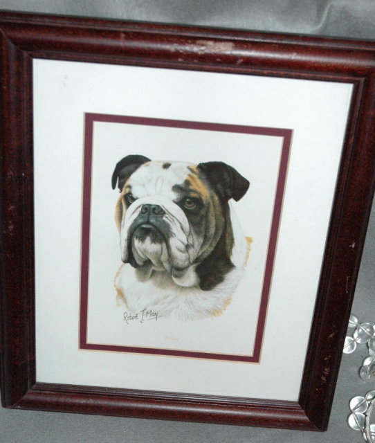 Bull Dog Print, Robert J. May, Matted & Framed * PRICE REDUCED !**