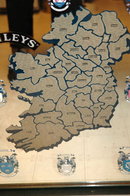 Baileys Irish Cream Bar Mirror Map of Ireland