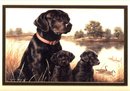 Labrador Mom & Pups Print