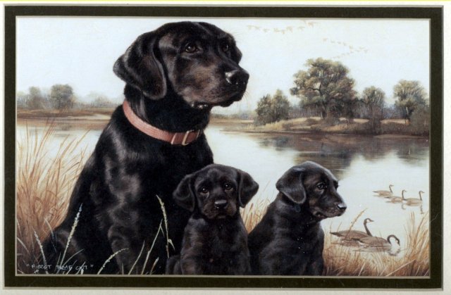 Labrador Mom & Pups Print