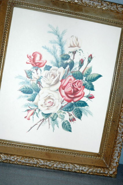 2 old floral E. Serton Botanical Prints in frames