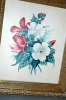 2 old floral E. Serton Botanical Prints in frames
