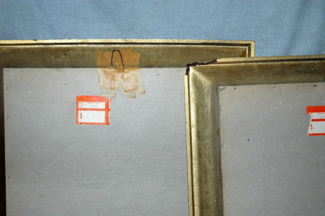 2 old floral E. Serton Botanical Prints in frames