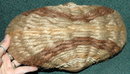 Interesting Old Bamboo & Sisal Hemp Basket *PRICE REDUCTION