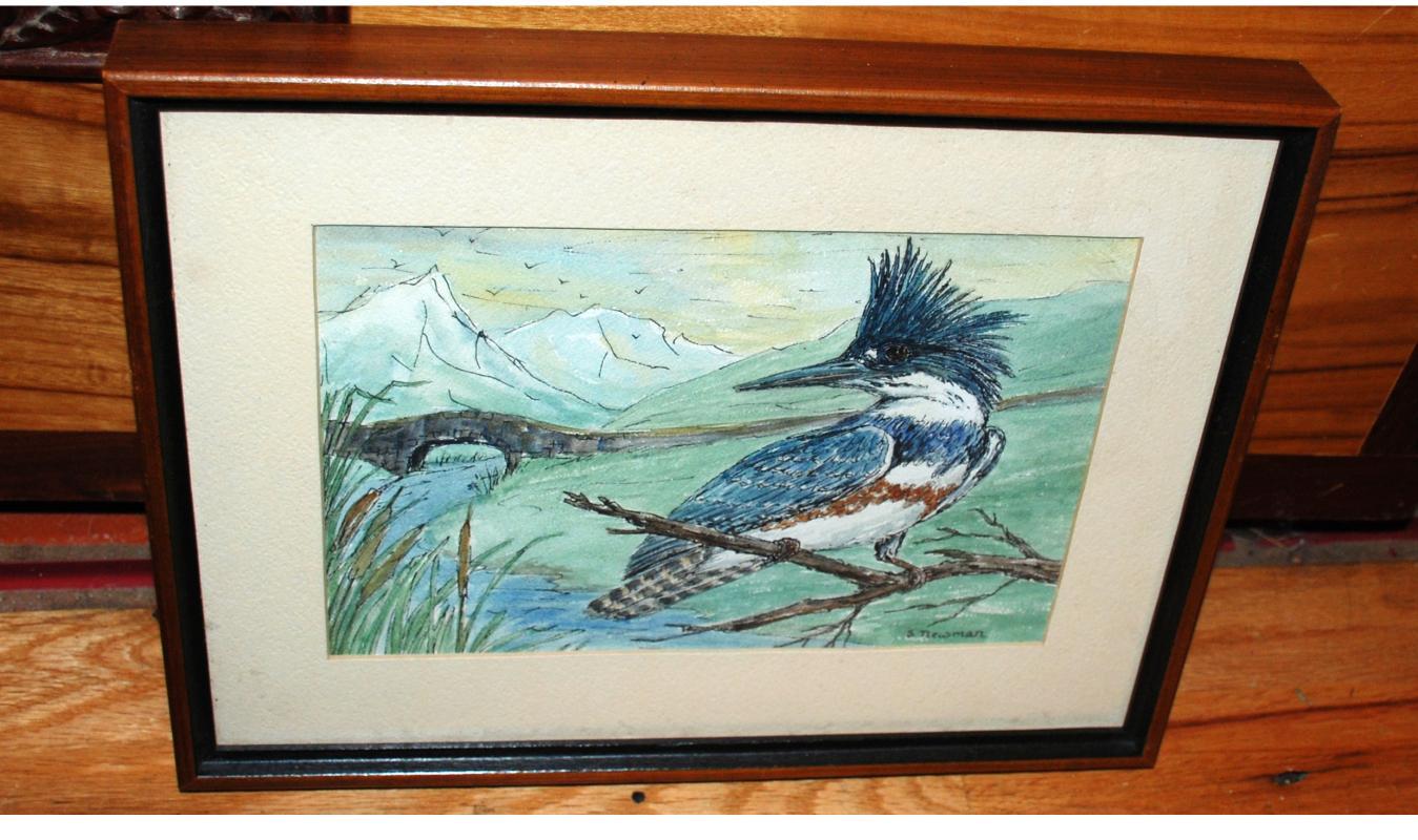 Original Watercolor painting of Female Belted Kingfisher by Sheila Newman