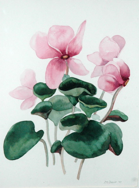 Watercolor Painting of Cyclamens -M.Davis *PRICE REDUCED!*