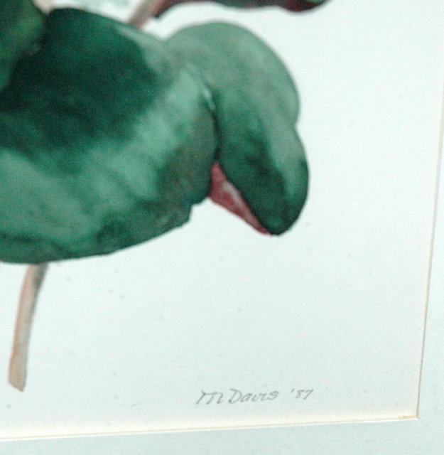 Watercolor Painting of Cyclamens -M.Davis *PRICE REDUCED!*