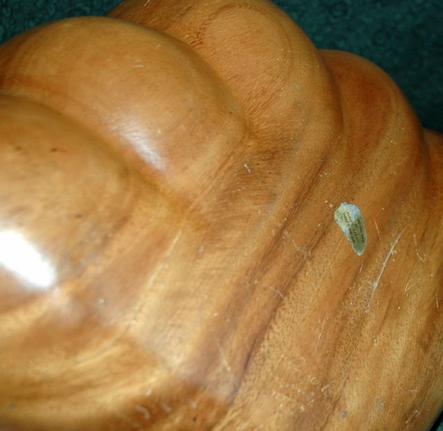 Large Hawaiian Monkey Pod Wood Shell Bowl**PRICE REDUCTION! **
