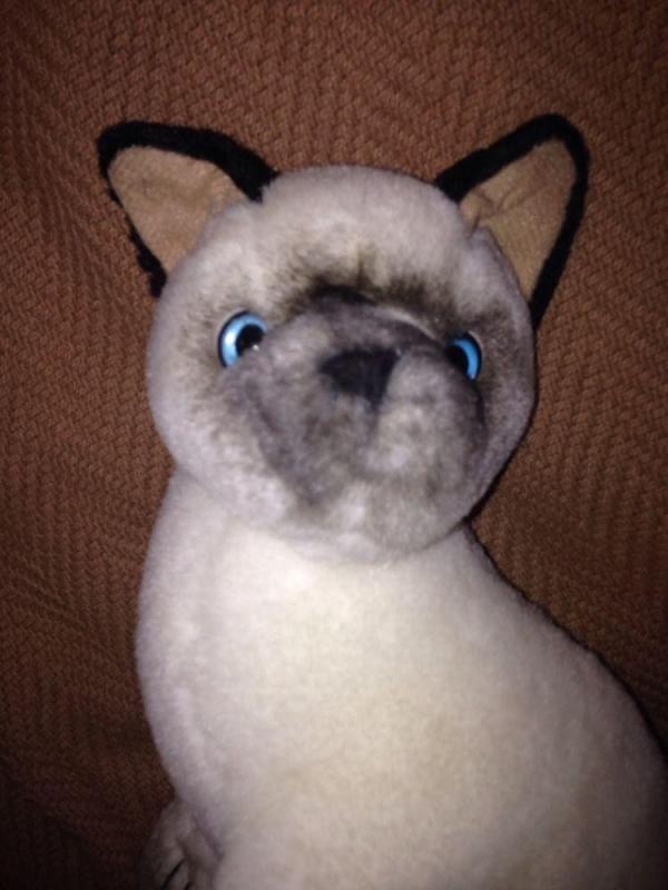 RUSS YOMIKO COLLECTION SIAMESE CAT PLUSH 10