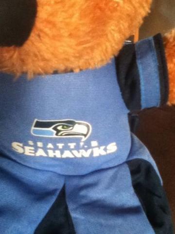 SEATTLE SEAHAWKS CHEERLEADER PLUSH TEDDY BEAR NFL LICENSED W/TAGS