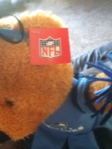 SEATTLE SEAHAWKS CHEERLEADER PLUSH TEDDY BEAR NFL LICENSED W/TAGS