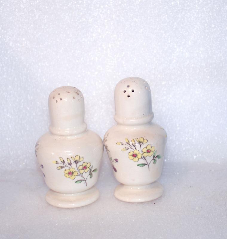 Copeland Spode Gainsborough Salt Pepper Shakers / Rare