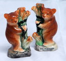 Tree hugging Bears in chains Salt & Pepper