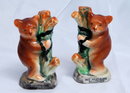 Tree hugging Bears in chains Salt & Pepper