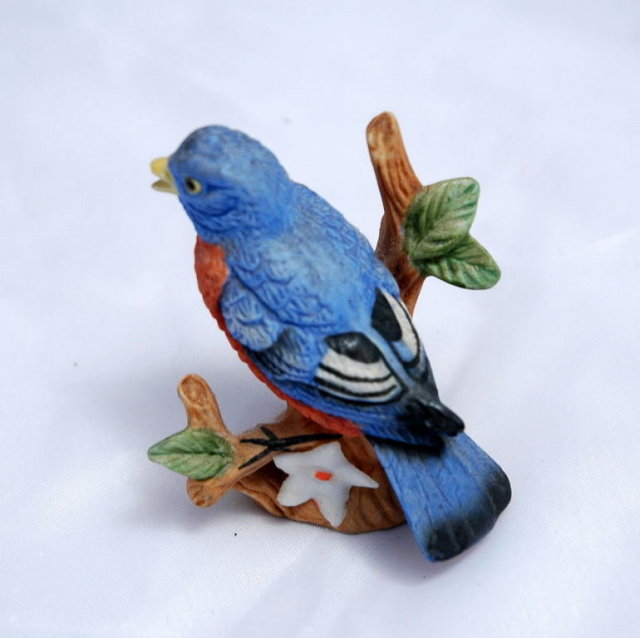 Bisque Eastern Blue Bird perched on branch